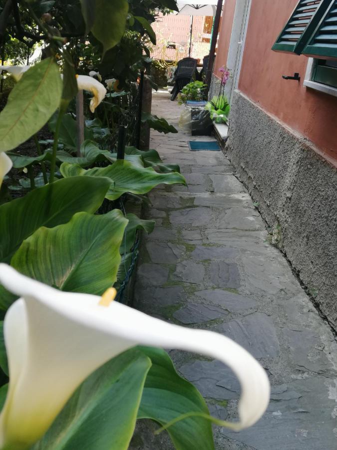 A Ca Du Barba Apartment Monterosso al Mare Ngoại thất bức ảnh